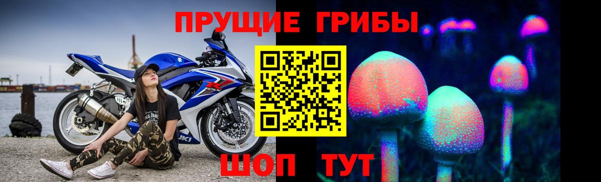 Тихвин  Галлюциногенные грибы MAGIC MUSHROOMS  Вход с VPN 